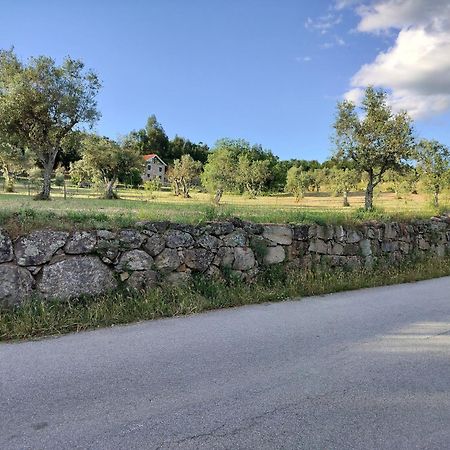 Villa Arpuro Gouveia  Esterno foto