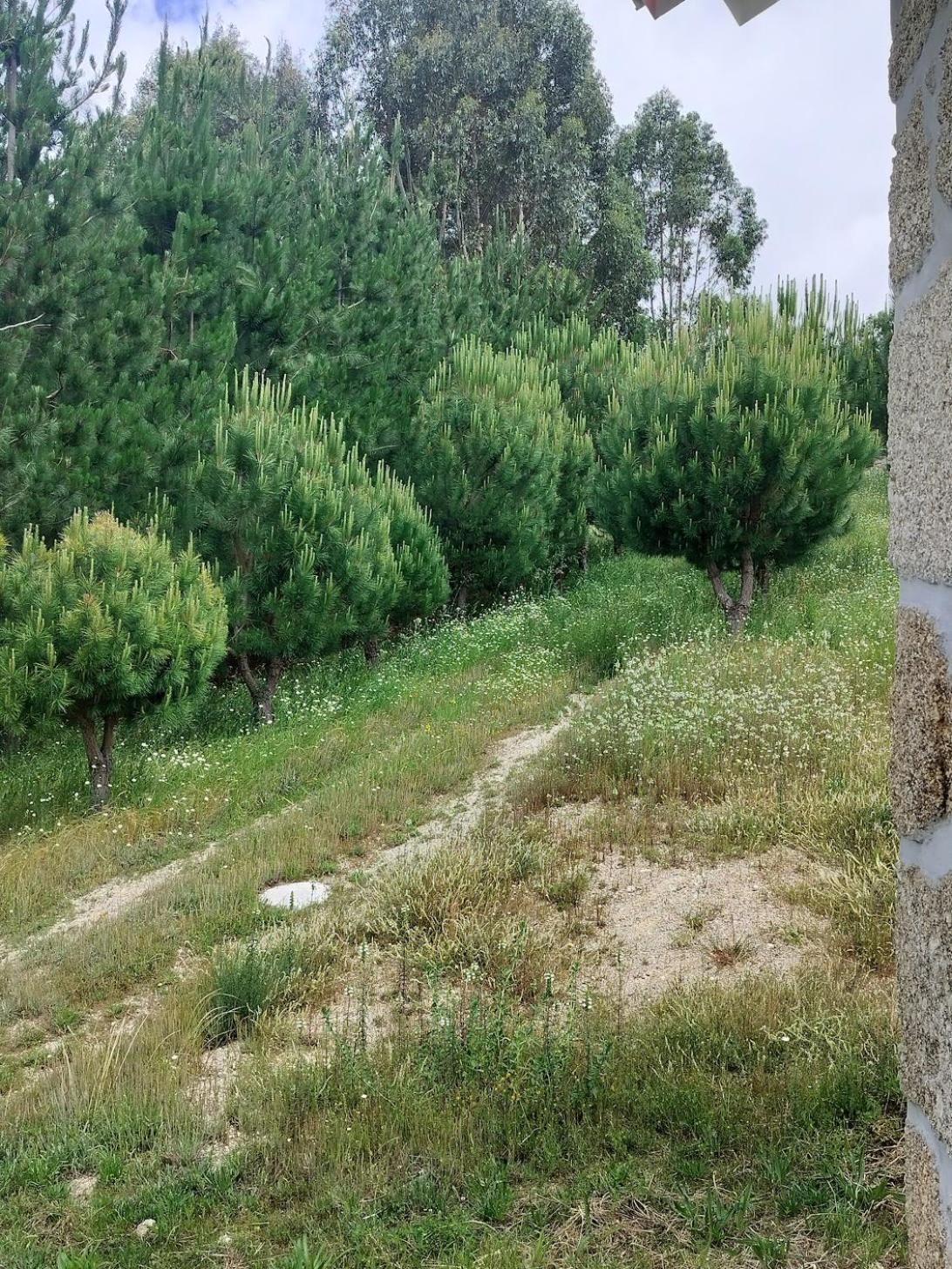 Villa Arpuro Gouveia  Esterno foto