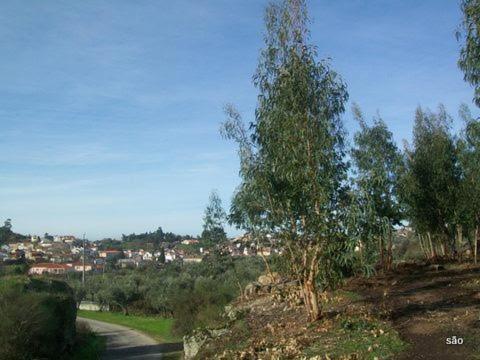 Villa Arpuro Gouveia  Esterno foto
